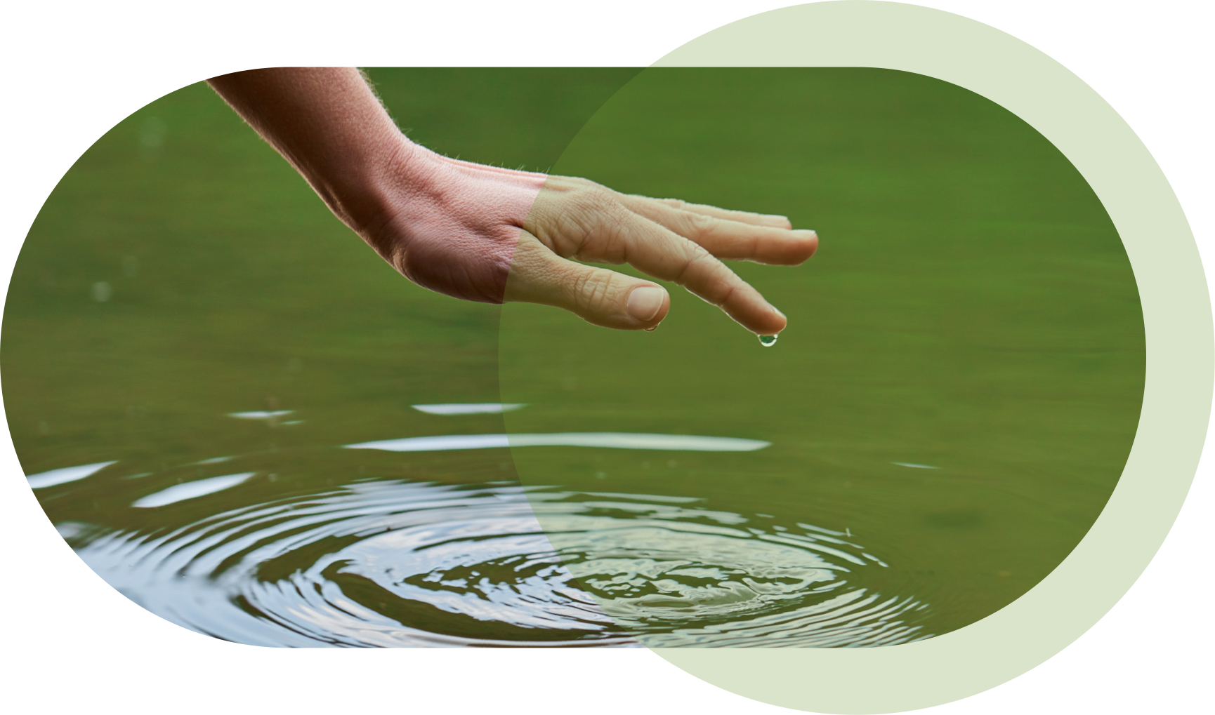 Das craniosacrale System